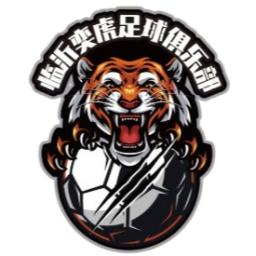 石家庄功夫U20